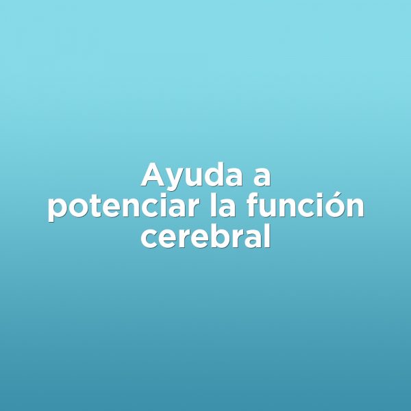 PACKMEMORIA-CARRUSEL01