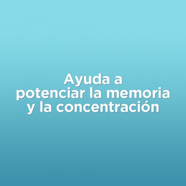 PACKMEMORIA-CARRUSEL02