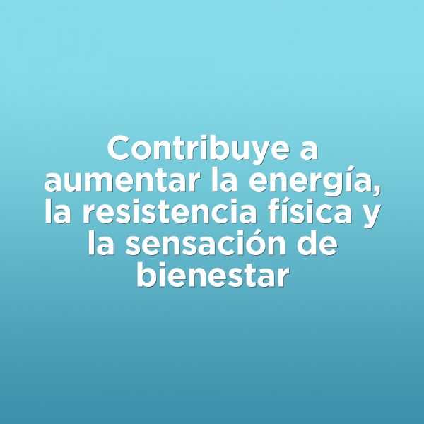 PACKMEMORIA-CARRUSEL03